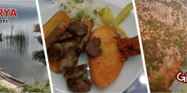 Gibio-Sakarya-Sehir-Rehberi