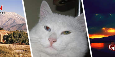 Van-Gibio-Sehir-Rehberi