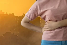 BÖBREK HAVA KİRLİLİĞİ