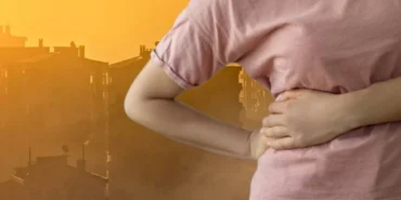 BÖBREK HAVA KİRLİLİĞİ