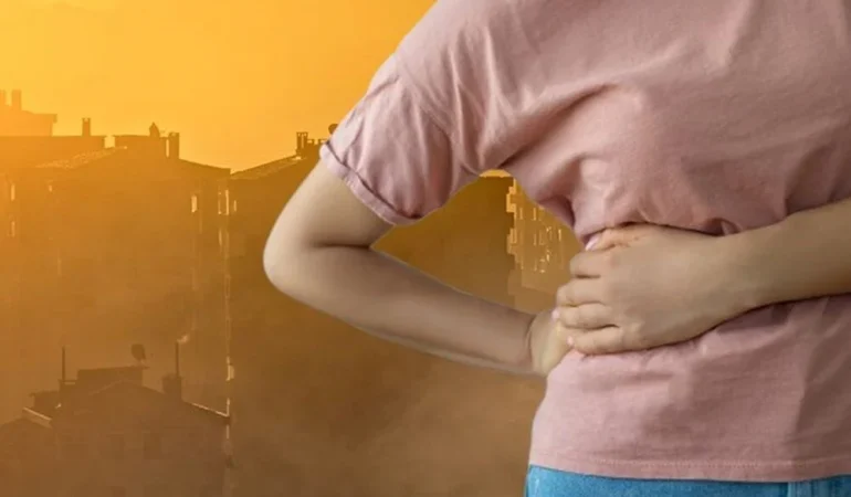 BÖBREK HAVA KİRLİLİĞİ