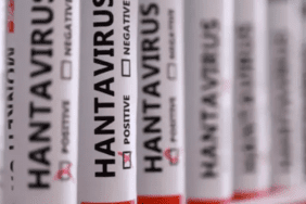 hantavirüs
