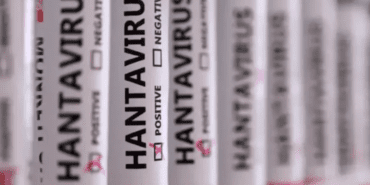 hantavirüs
